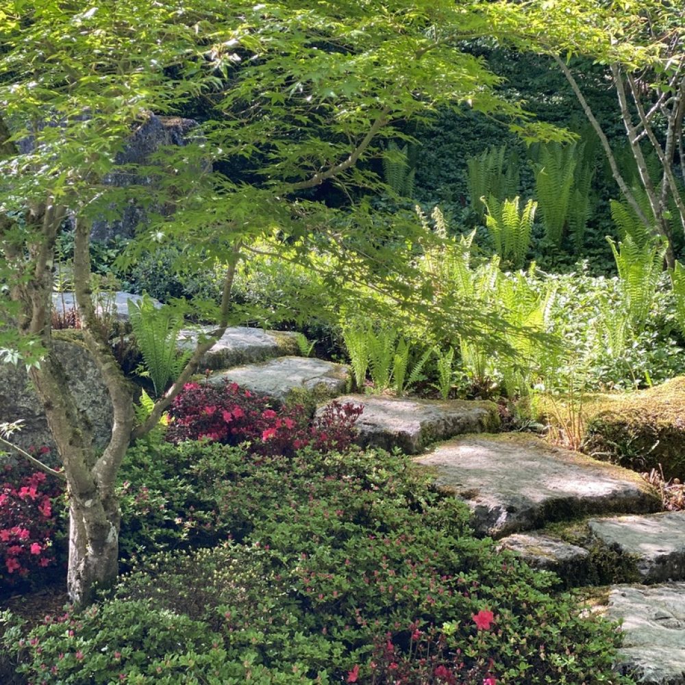 ACLAE difunde la logoterapia y el análisis existencial